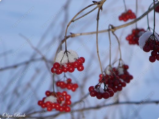  Остановись мгновение... (фото 26)