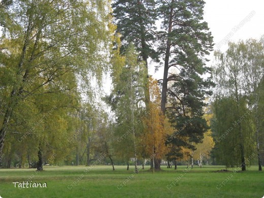 Чудо- Александрия. (фото 25)