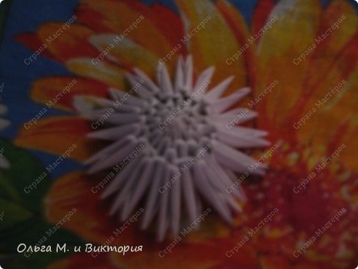 крыша кареты... (фото 6)