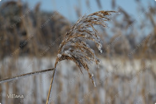 Шалаш романтический)))) (фото 15)