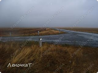 Это  наша  степь, в которой мы живем. На многие сотни киллометров она  простирается вокруг нашего Ремонтненского района  Ростовской области. Хоть мы и Ростовская облась, но Ростов от нас 600км.Чуть ближе Ставрополь-220км, и уж совсем  близко, каких то 100км- Элиста.А это уже Калмыкия. Так что  граничим мы со Стовропольским краем и Калмыкией... (фото 1)