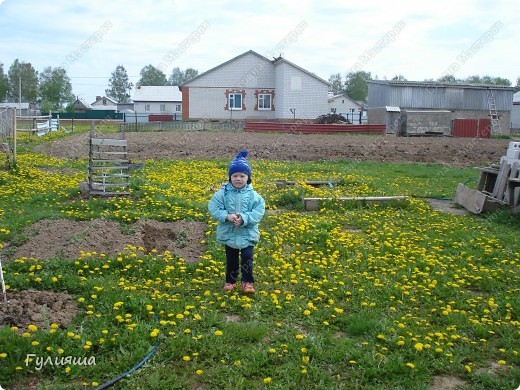 Побегу босиком по тропинке, 
по траве, где не видно дорог. 
Одуванчики жёлтые спинки 
мне подставят, чтоб я своих ног 
даже ранить ничем не успела. 
 (фото 5)