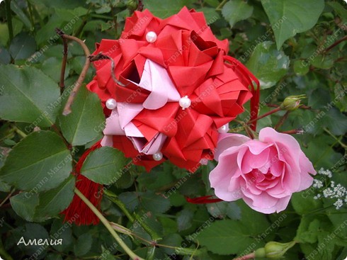 Little Roses автор Мария Синайская
http://ru-kusudama.livejournal.com/922650.html

 (фото 16)