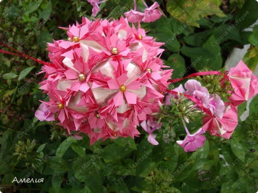 Кусудама Phlox  (фото 2)