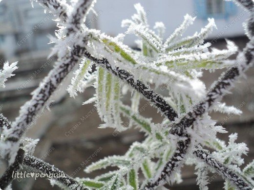 Везде раскинулись бесконечные полотна художника. (фото 18)