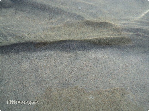 Когда дует  ветер на прозрачной воде красуются волны. (фото 4)