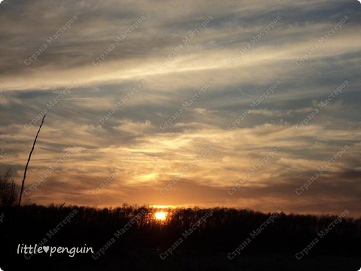 Солнце опускалось все ниже и ниже  (фото 24)