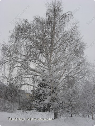 Прогулка по заснеженному городу. (фото 3)