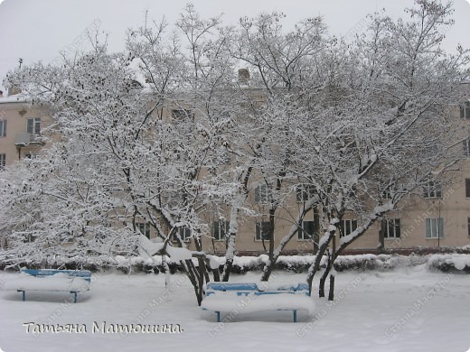 Прогулка по заснеженному городу. (фото 5)