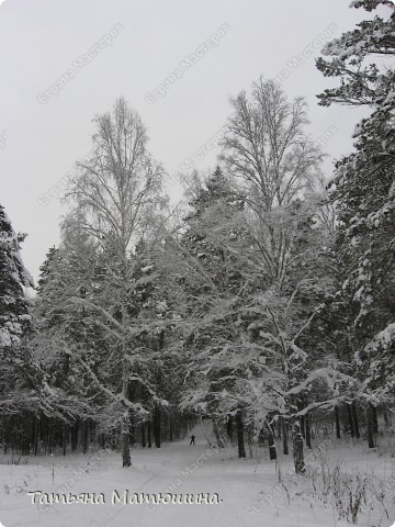 Прогулка по заснеженному городу. (фото 13)