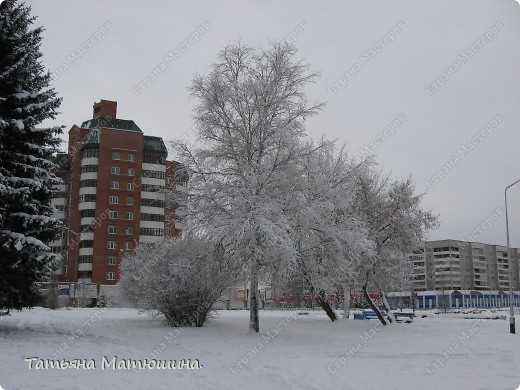 Прогулка по заснеженному городу. (фото 21)