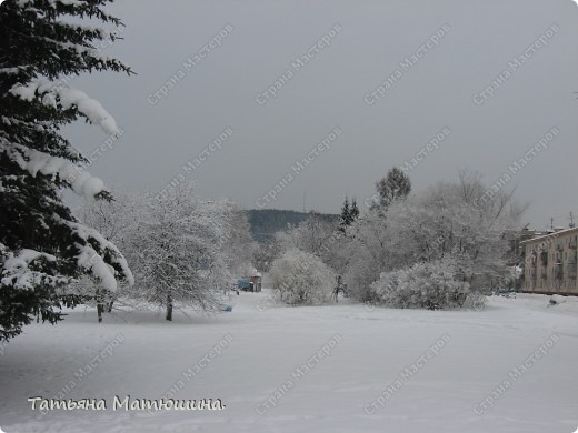 Прогулка по заснеженному городу. (фото 23)