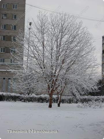 Прогулка по заснеженному городу. (фото 27)