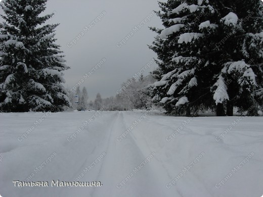 Прогулка по заснеженному городу. (фото 30)