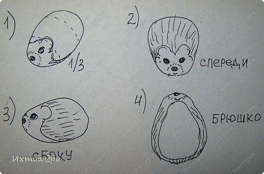 Здесь на схеме представлены разные ракурсы, чтобы было понятно, как на камушек наносить рисунок карандашом.
Итак, расскажу поэтапно, как нарисовать на камне ёжика. (фото 6)