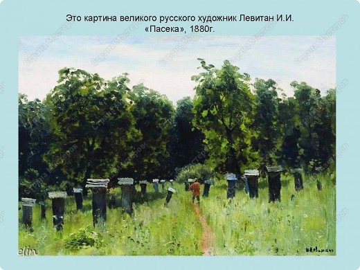 Здесь он пояснял, что пасека - это несколько ульев, и как улья выглядели раньше.  (фото 11)