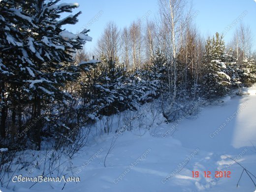 ........молодая поросль,  выстроились....встречают........... (фото 8)