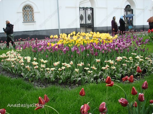 стараниями местных батюшек.. (фото 6)