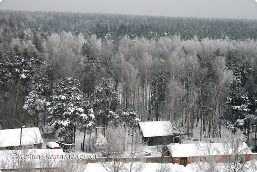 Корзинка с грибами (работа сынули) + пополнение коллекции игрушек из меха. (фото 12)