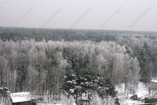 Корзинка с грибами (работа сынули) + пополнение коллекции игрушек из меха. (фото 13)