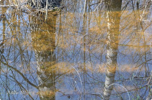 Ну и мои любимые - отражения в воде! 
Снег растаял, но земля еще не впитала воду, оставшуюся от него. И в ней уже есть лягушки, по крайней мере одну я ненароком спугнула)
Ясное небо, отражение белых берез и, сквозь, солнечный луч, очертания дна... Как мне всё это нравится! (фото 9)