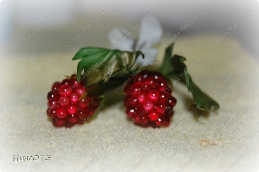 Всем привет,сегодня я к вам с малинкой. Вкусной , красивой.....сделала в подарок заловке на день варенья