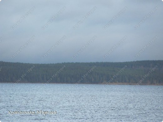 а на том берегу шикарнейшие леса! (фото 9)