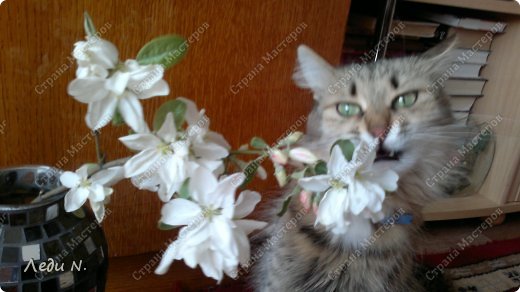 В душе я вегетарианец. Ну, знаете, нюхаешь цветочек, нюхаешь, эстетствуешь помаленьку, а потом "Ама - и тАма"! (фото 5)