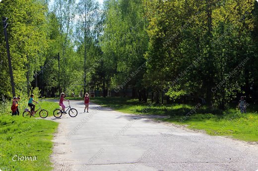 Детишки гуськом переходят дорогу! (фото 7)