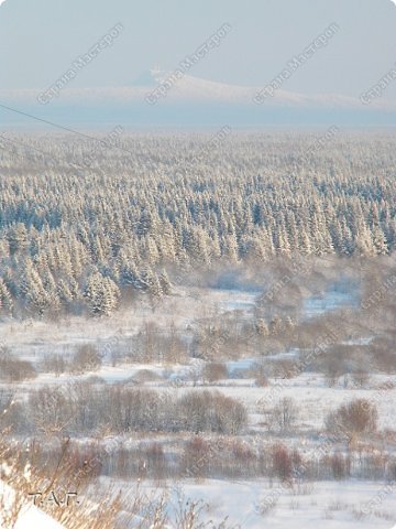 Последний зимний месяц жаль,
Короткий самый он – февраль.
Февраль 2010г. (фото 5)