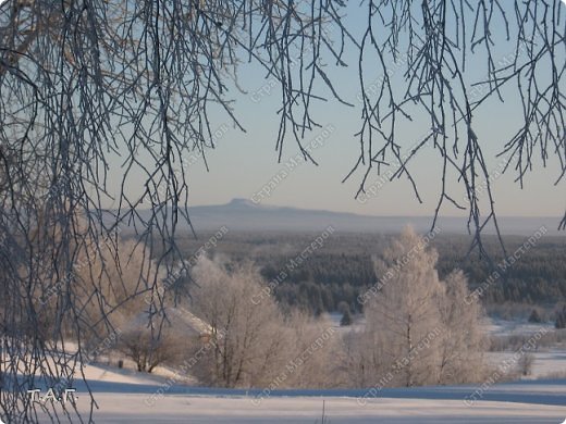 Февраль 2010г. (фото 6)