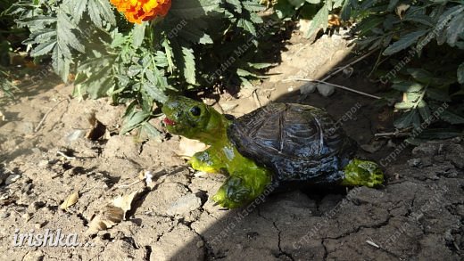 Сова и Черепаха из соленого теста (фото 5)