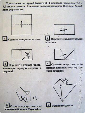 Схема из книги С.Соколовой "Цветы". Замечательный автор!!! (фото 3)