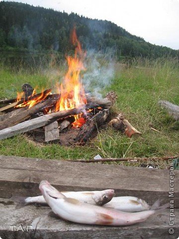 Объехав окрестности мы пришли к выводу, что от добра- добра не ищут. И поставили палатки на берегу красавицы Вишеры прямо за огородом добрых знакомых.
Выходные провели активно и полезно. (фото 6)