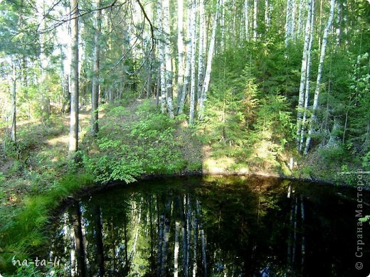 Колдовское озеро (карстовая воронка, диаметр ок 20м), частое явление в наших краях
Очень красивое место (фото 22)