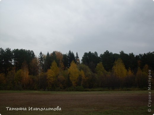 Унылая осень (фото 1)