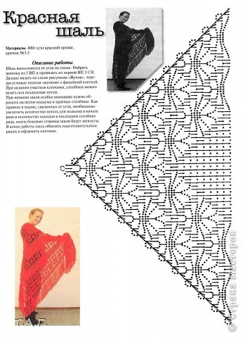 По просьбам добавила схемы, но вязала я свои шали не буквально , а так сказать "по мотивам..."
 (фото 6)