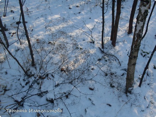 Снег на Урале (фото 4)