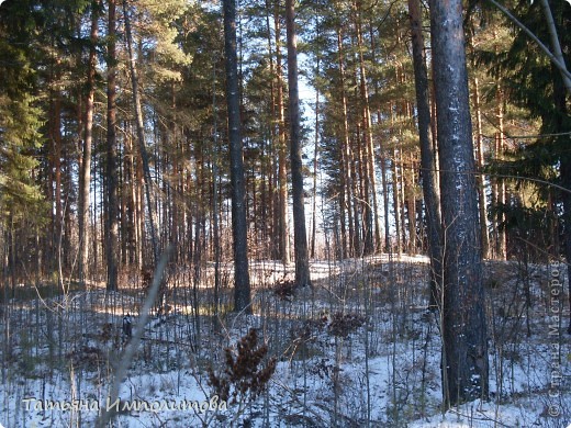 Снег на Урале (фото 5)