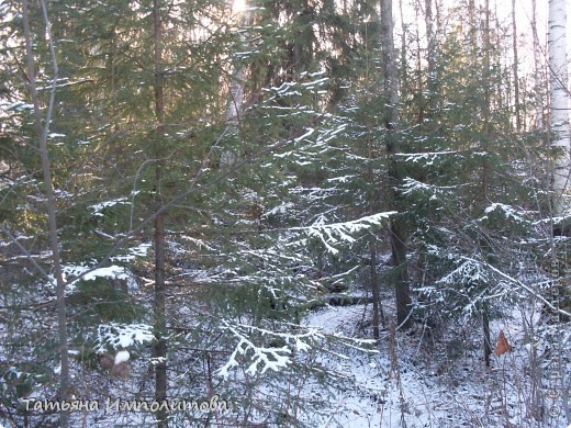 Снег на Урале (фото 8)