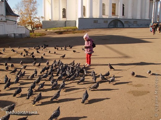 Ребята, стройся! (фото 6)