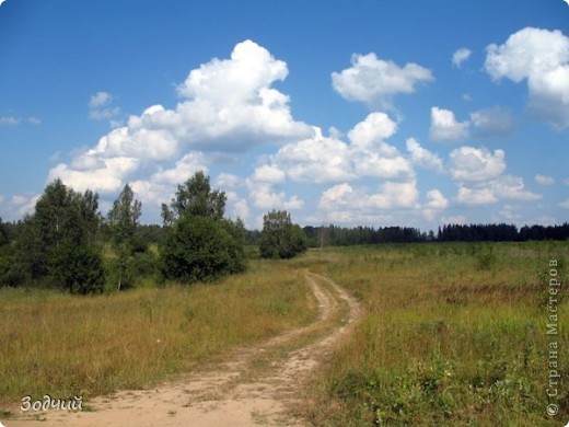 Дорогами лета... (фото 6)