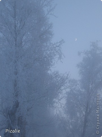 В небе месяц светит ярко... (фото 27)