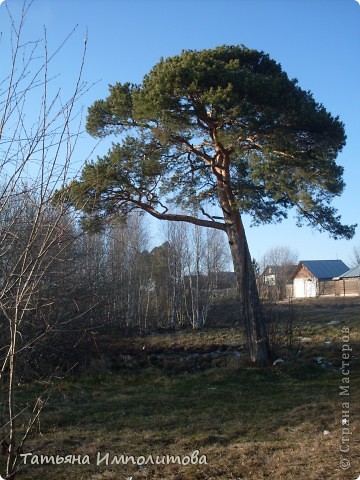 Поход за вдохновением (фото 8)