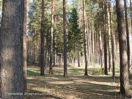 Погода радует уральцев (фото 20)