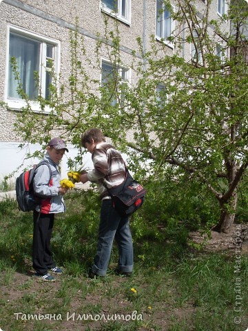 Что может быть прекрасней подарка ребёнка,мальчишки не просто нарвали одуванчиков ,а ещё и пытаются украсить букеты травкой (фото 5)