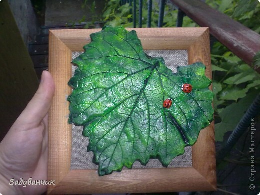 Посадила на листик две божьих коровки, куда ж без них)) (фото 2)
