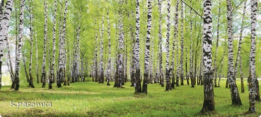 Вот они, русские красавицы. (фото 5)