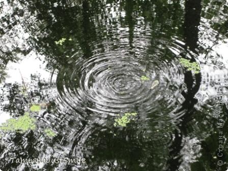 Круги на воде (фото 7)