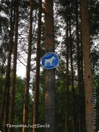 Уникальный знак: "Вход собачкам разрешен!" (фото 8)